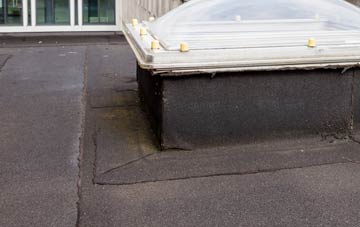 disadvantages of Western Park flat roofs