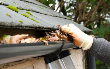 gutter cleaning Western Park, Leicestershire
