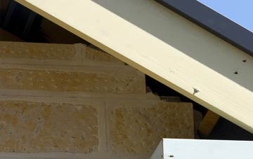 soffit repair Western Park